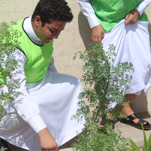 مدارس الرقي الأهلية